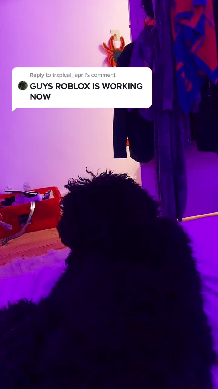 @Roblox!