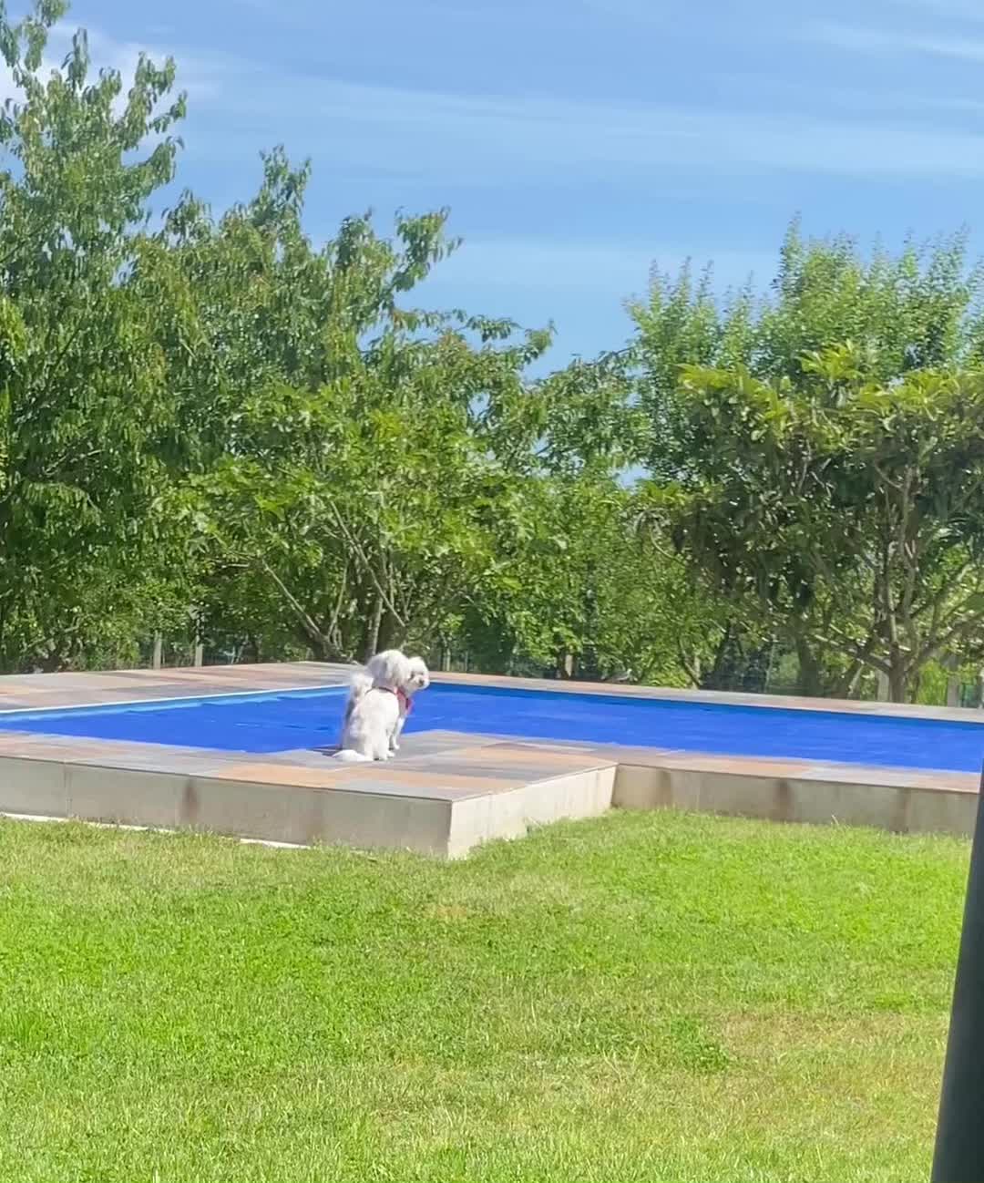 @Miriam Rigüela