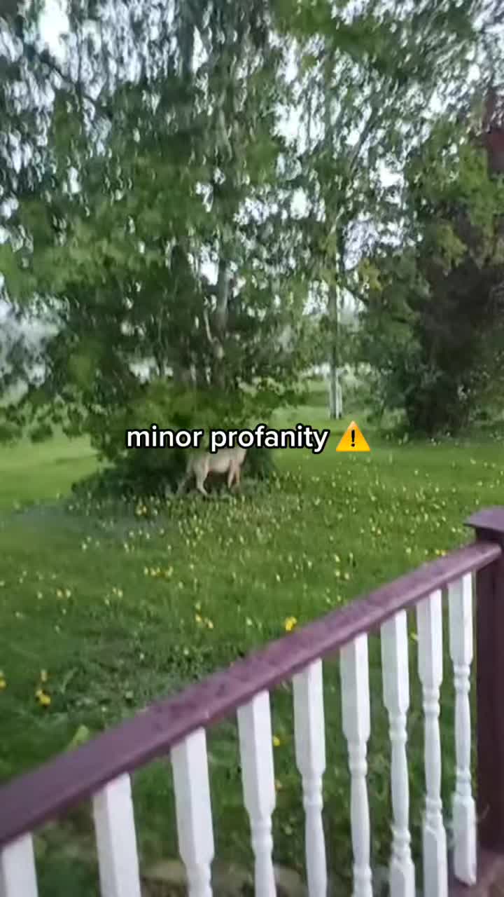 @intoxicatedautistic