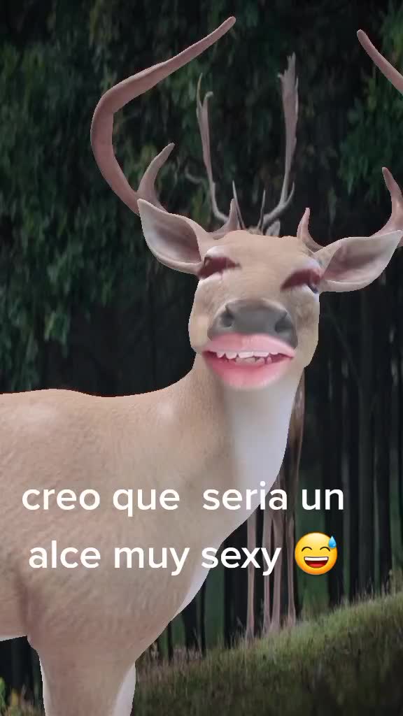 @José Luis