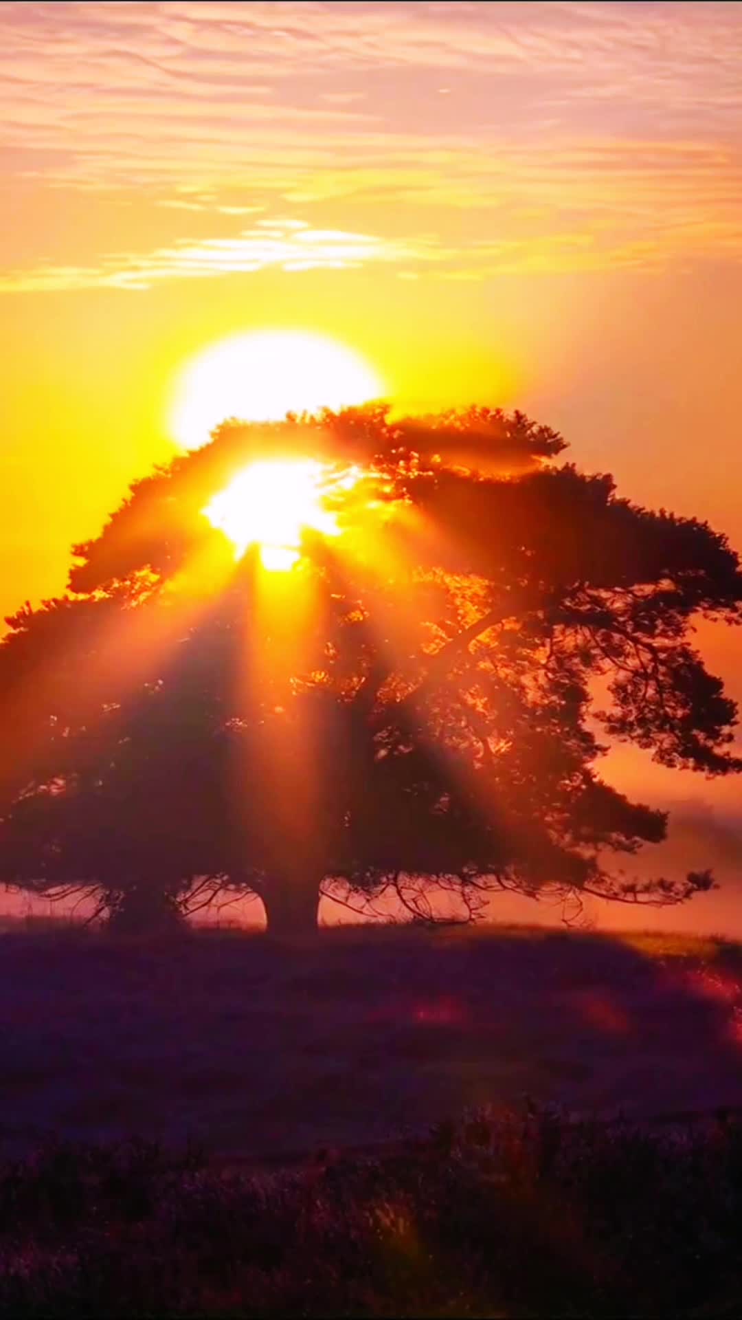 @naturallandscape