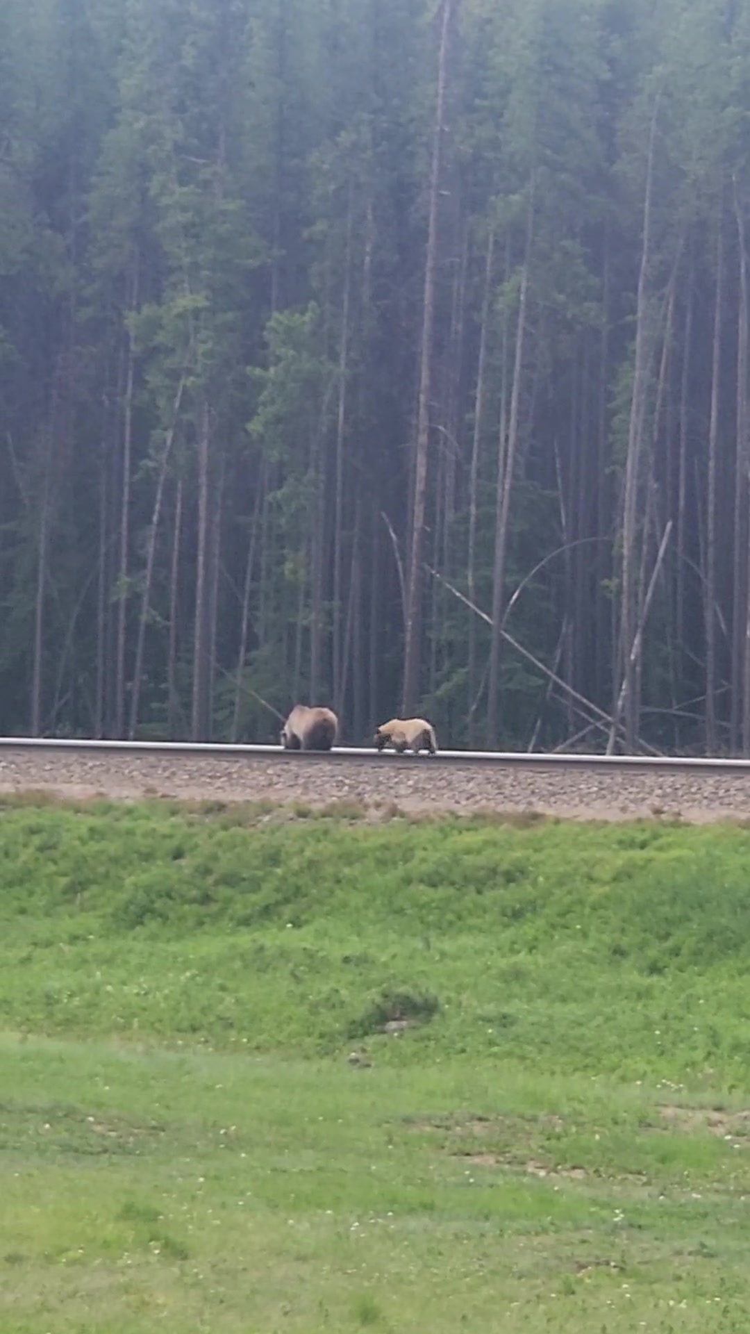 @Banff Nature and Wildlife