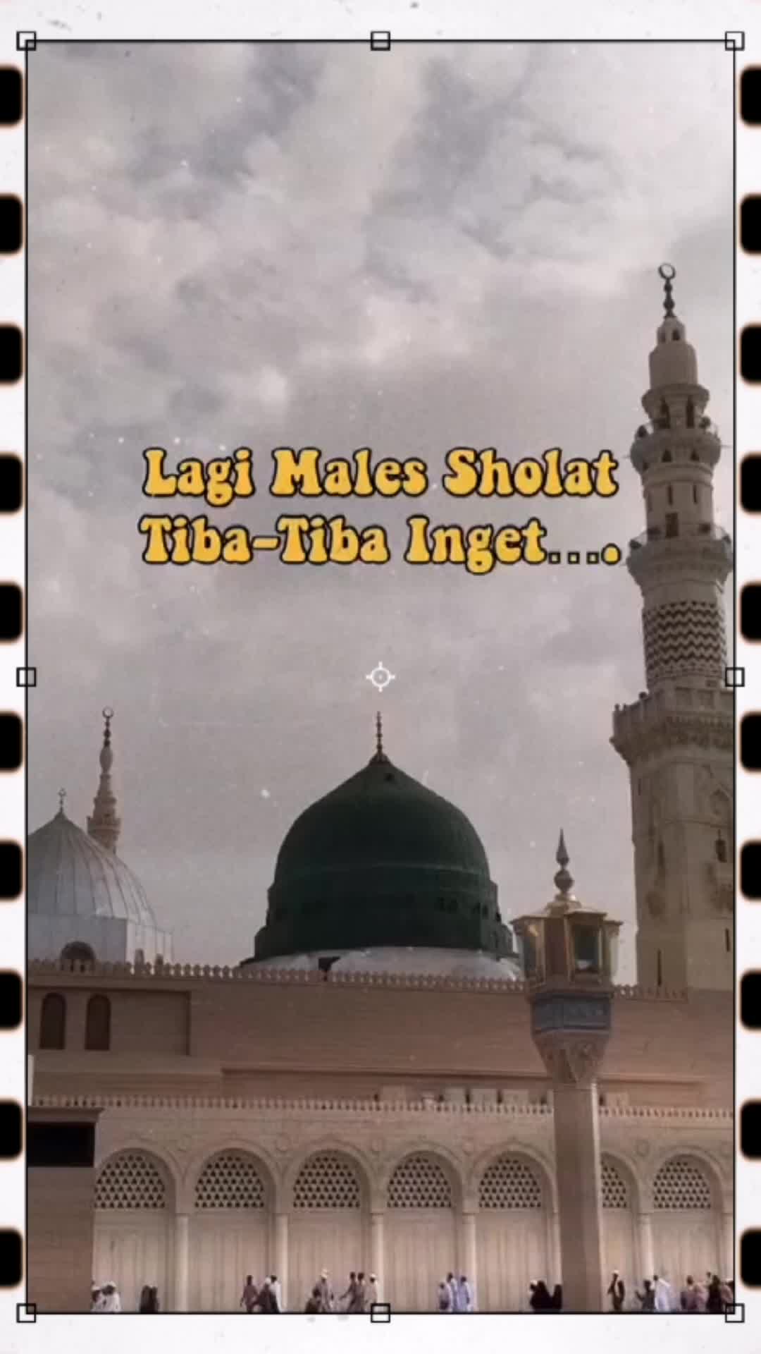@🇮🇩 🦋🇦 🇲 🇴 🇾🦋🇲🇾