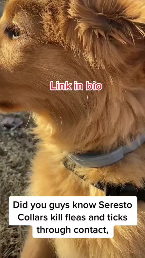@lifeproduct23