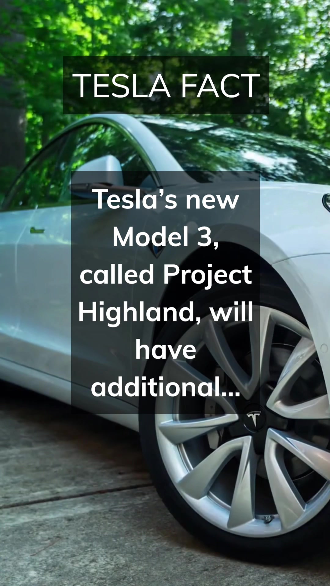 @Tesla Facts