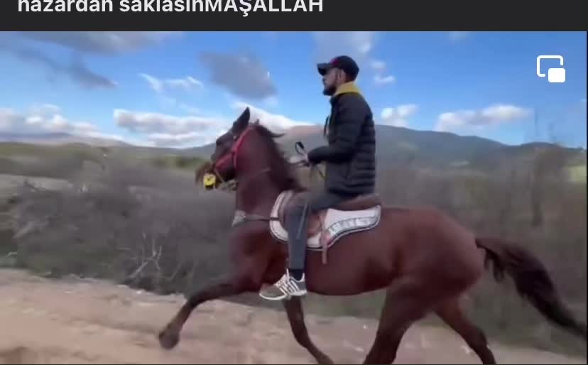 @Nazillirahvan09