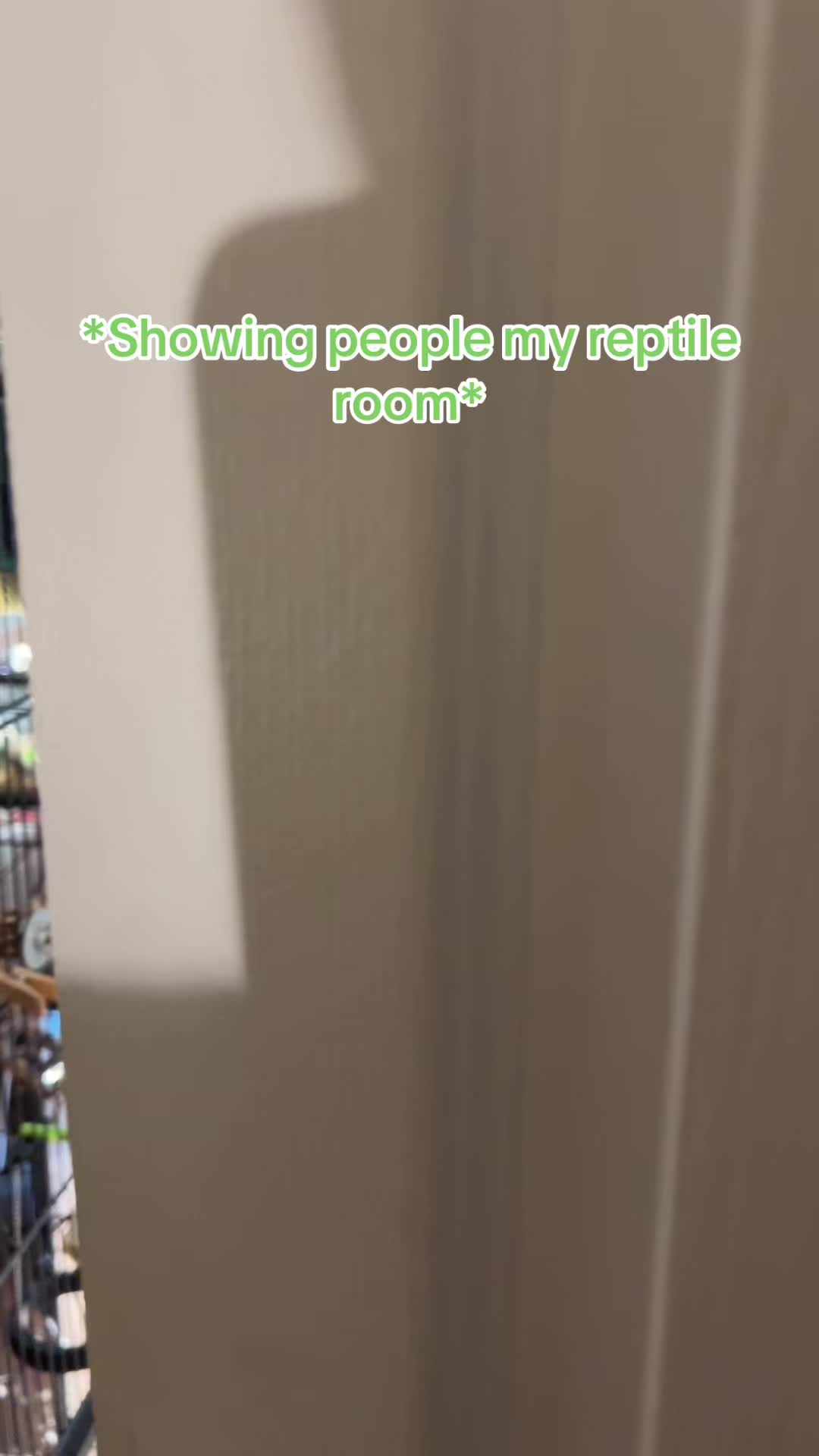 @🐍Rylee’s Reptiles🦎