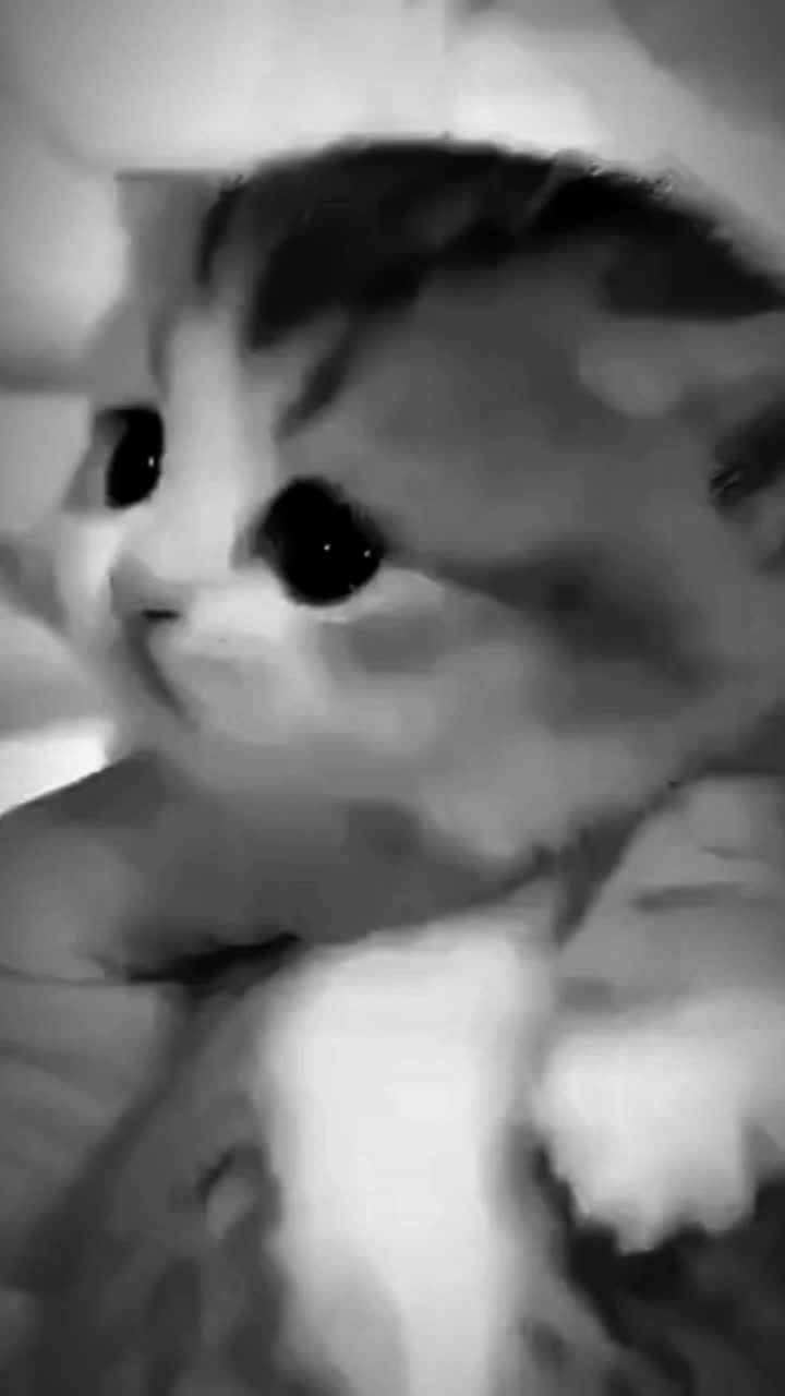 @Фьюви 😦