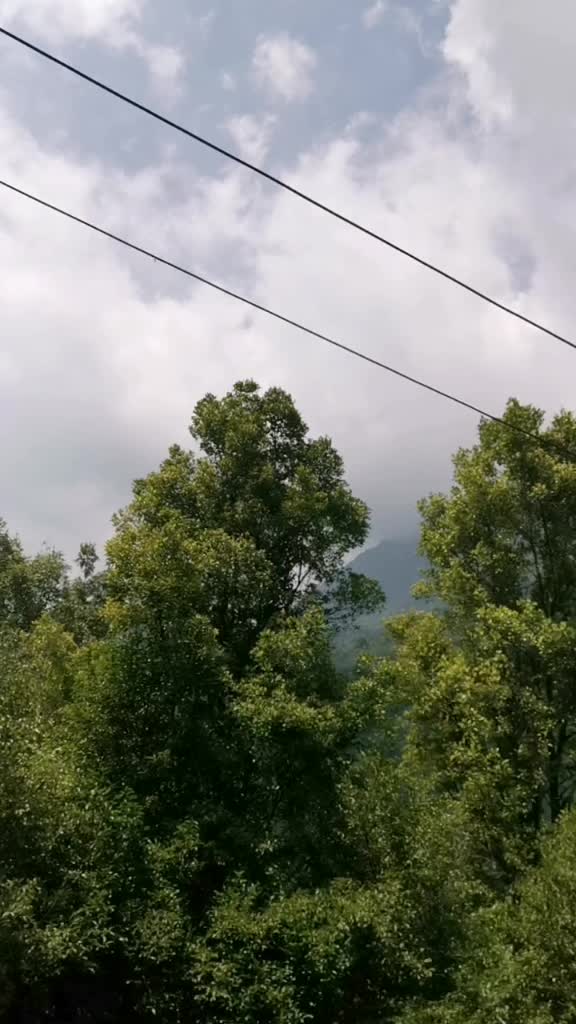 @shameer3334