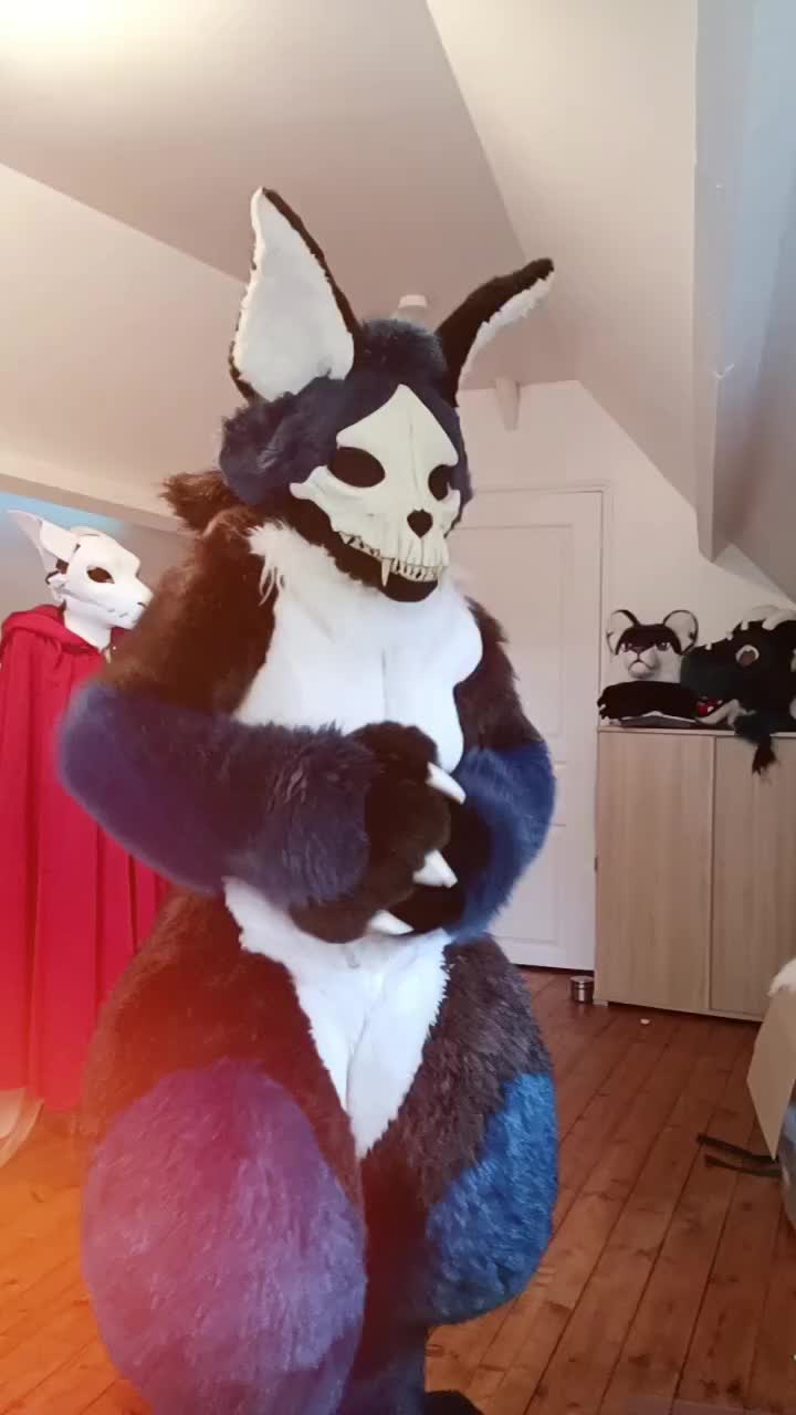 @KITJUNE