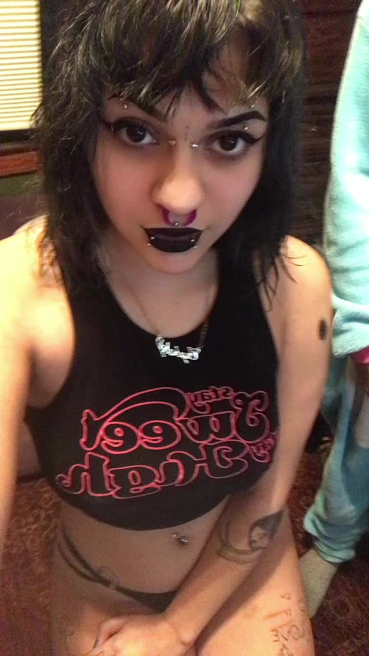 @trippy