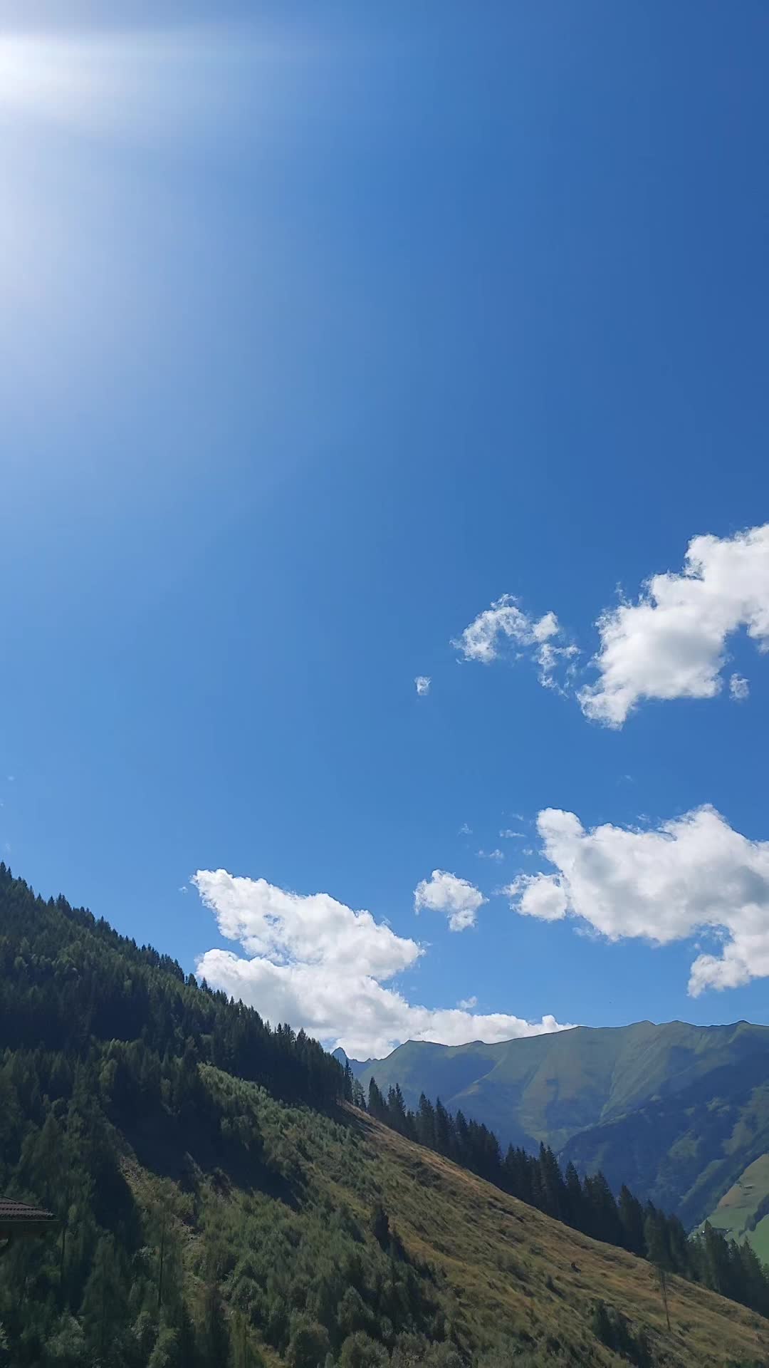 @🌲ᛉ
