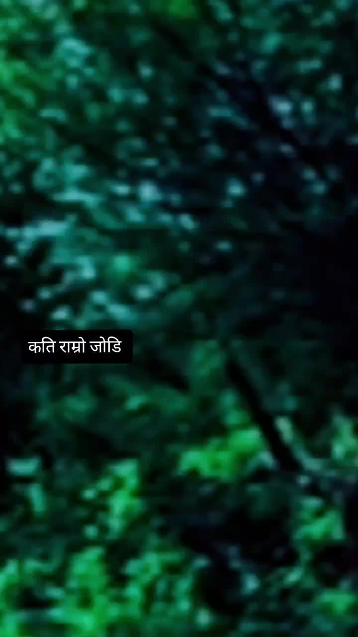 @Xettri Prakash