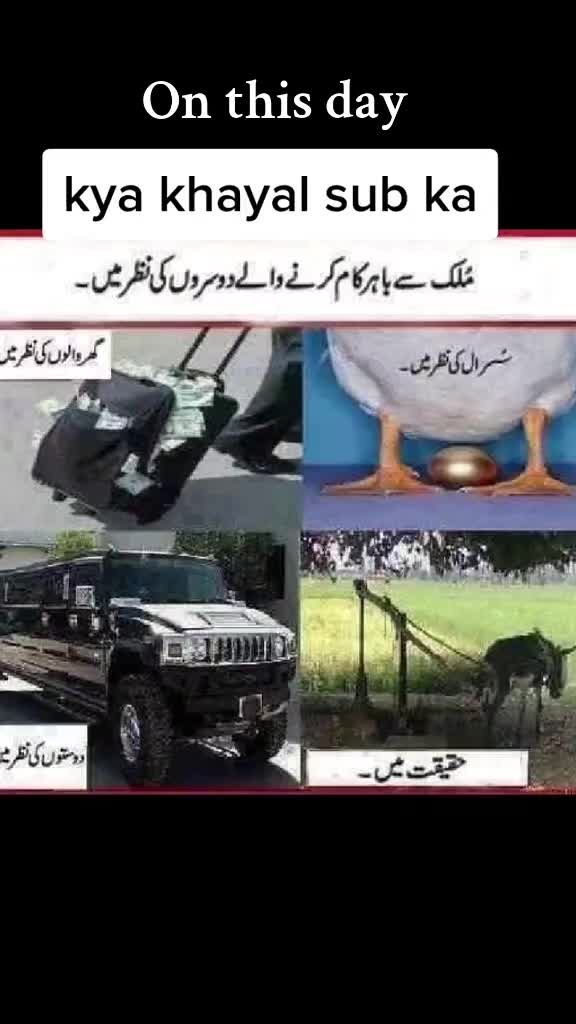 @Rizwan