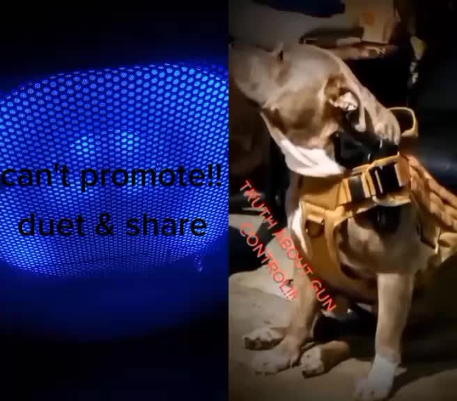 @Flextimebullyz