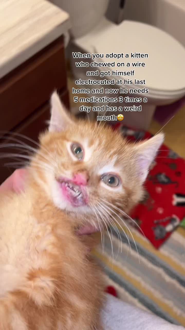 @Meg