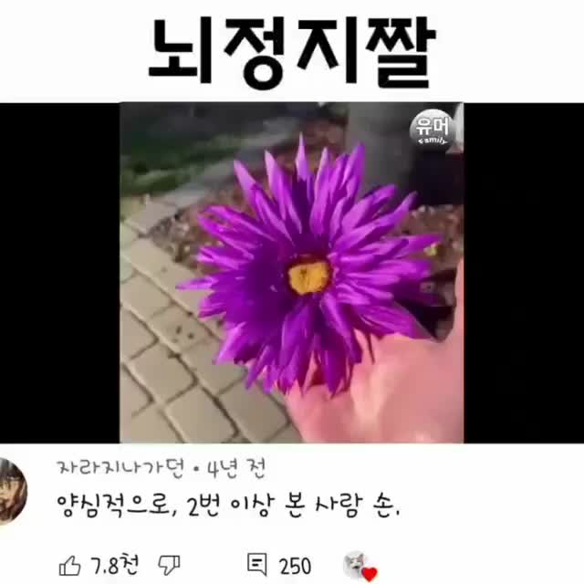 @김미진
