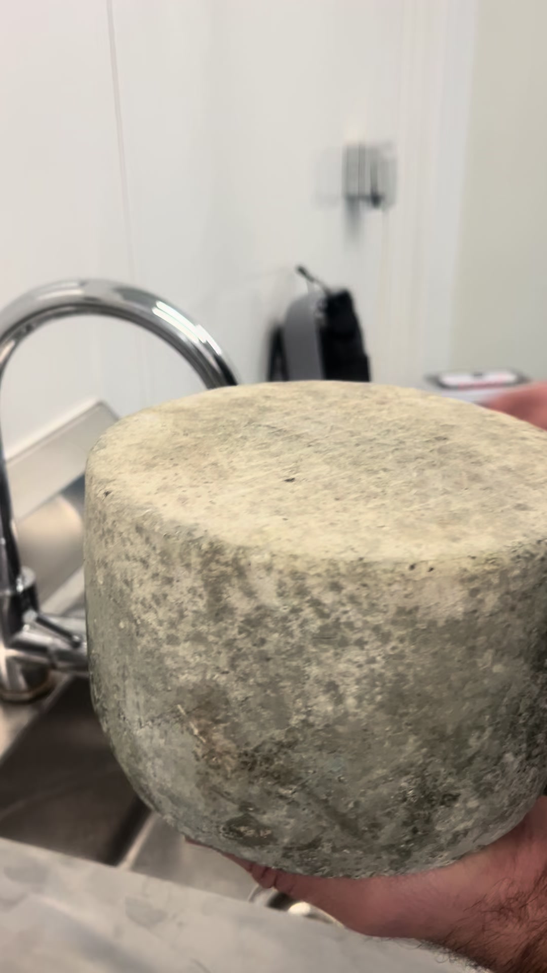 @Yorkshire pecorino