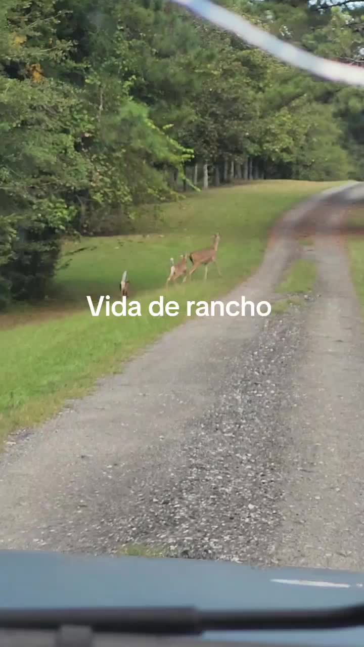 @Griselda Grajeda🫅🤴🫅🤴🦁🦁🦁