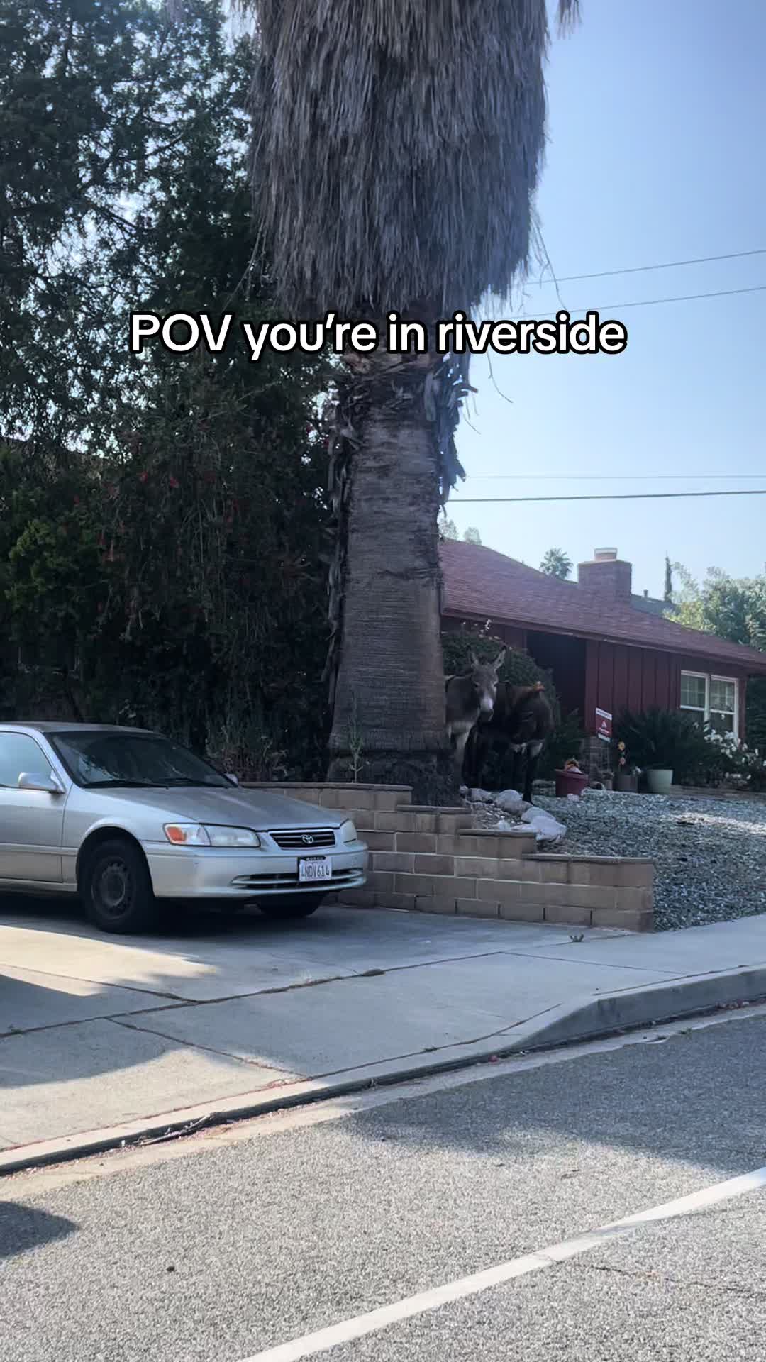 @N