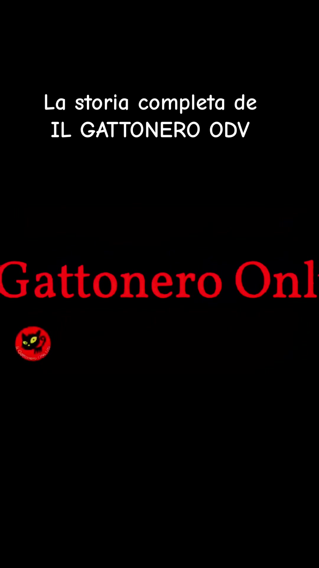 @IL GATTO NERO ODV