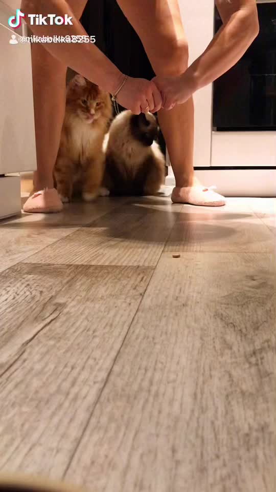 @Veronikabelka