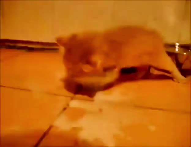 @FirePancake