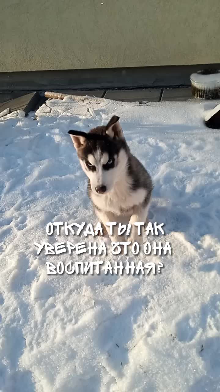 @просто Майа 💗