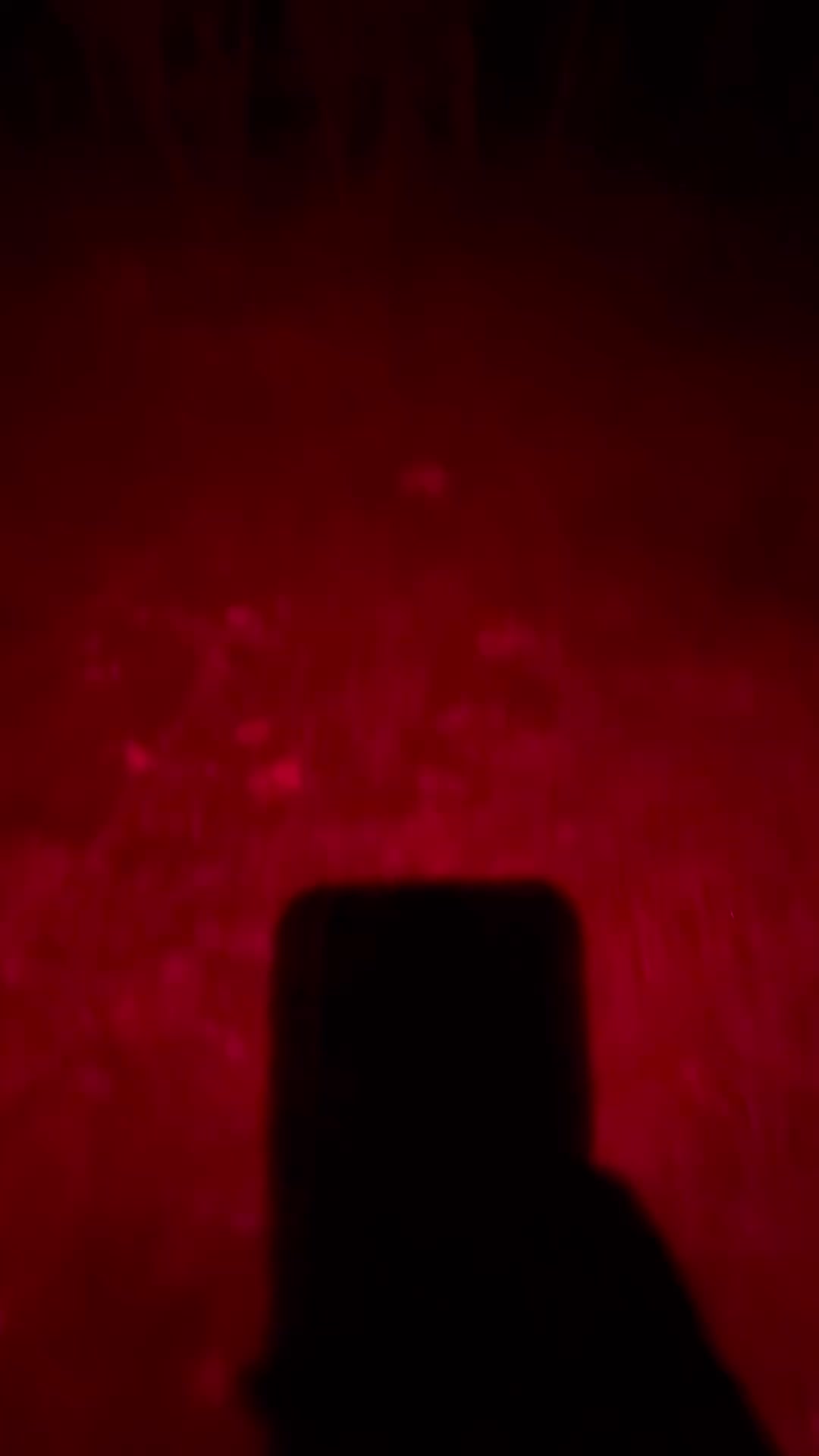 @moremopig
