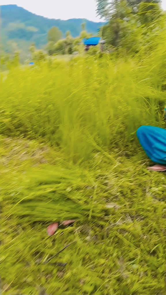 @Parkash Puspa