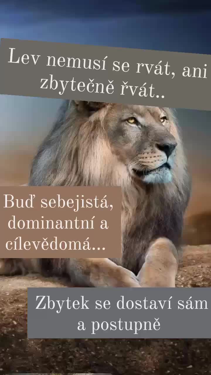 @ivana_haferova