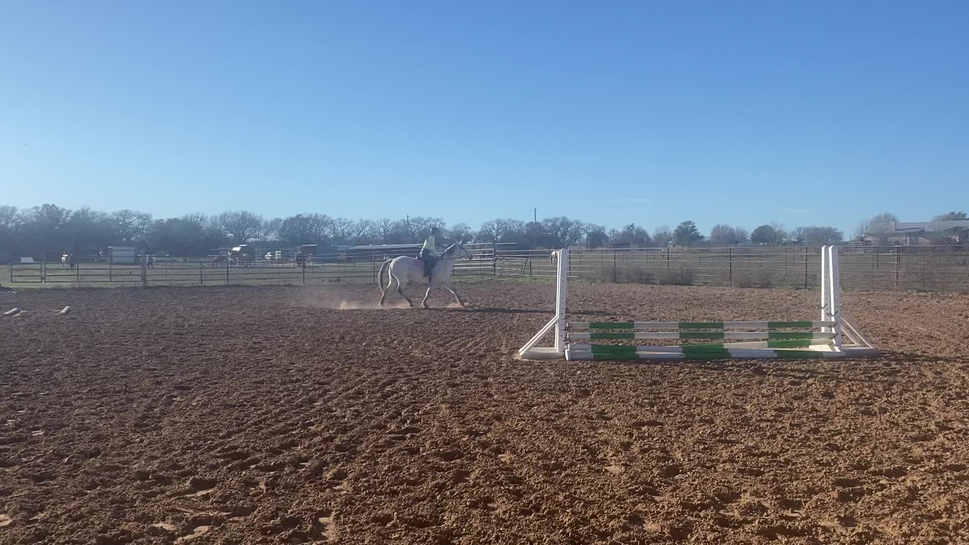 @Allie Zant
