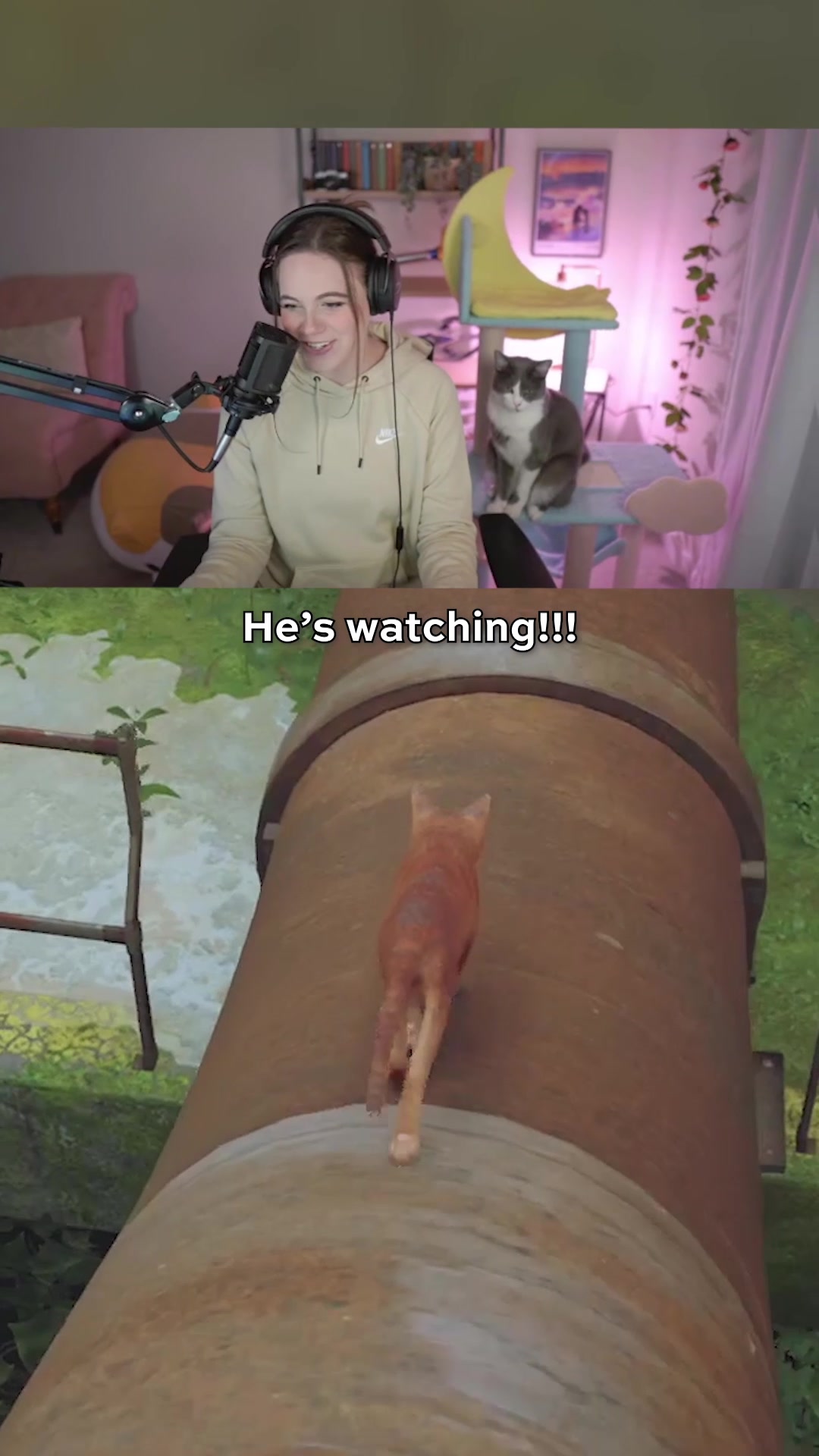 @sarahkey