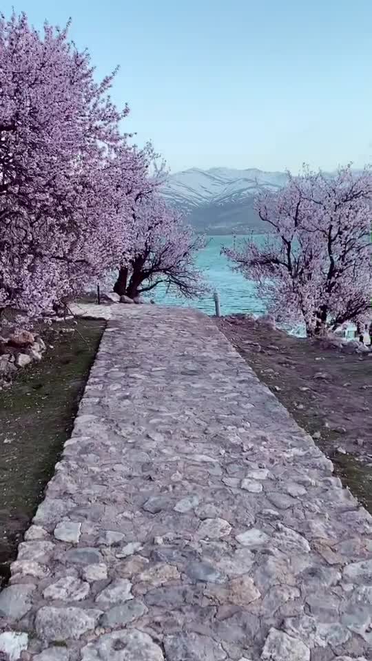 @FURKAN TERAN