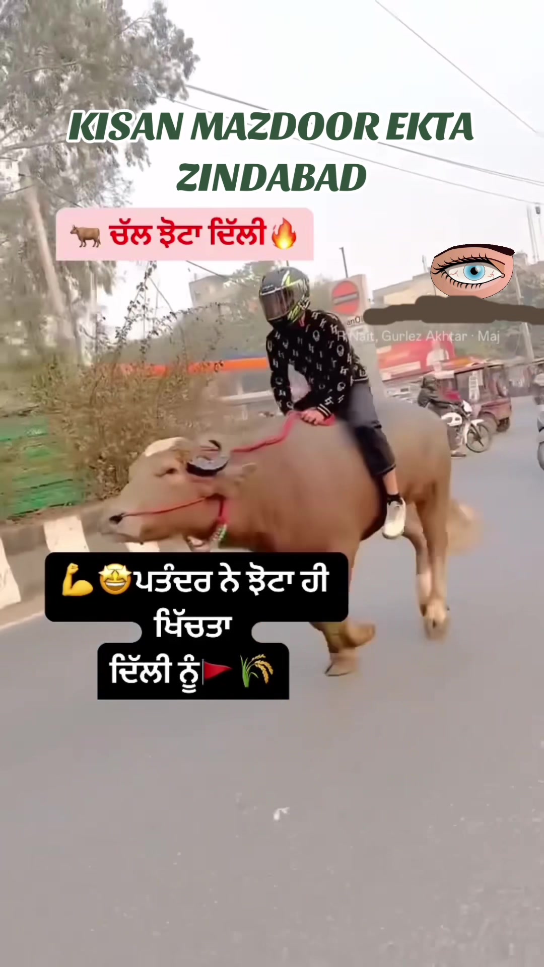 @Bill Singh