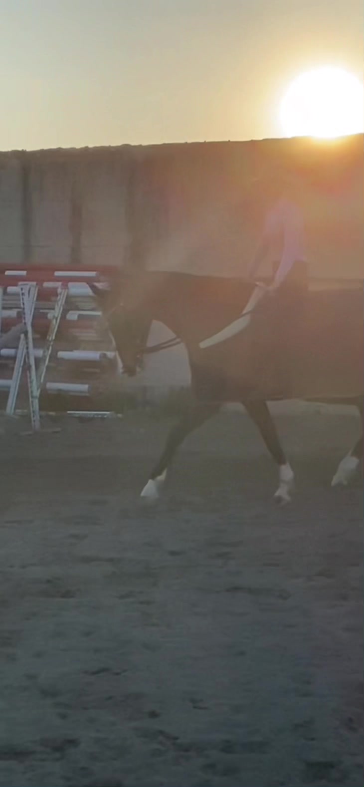 @Fabiana Tuccillo🇮🇹🐴🫀