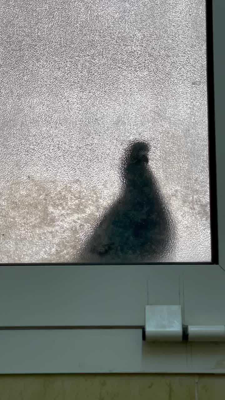 @Sukul Ca