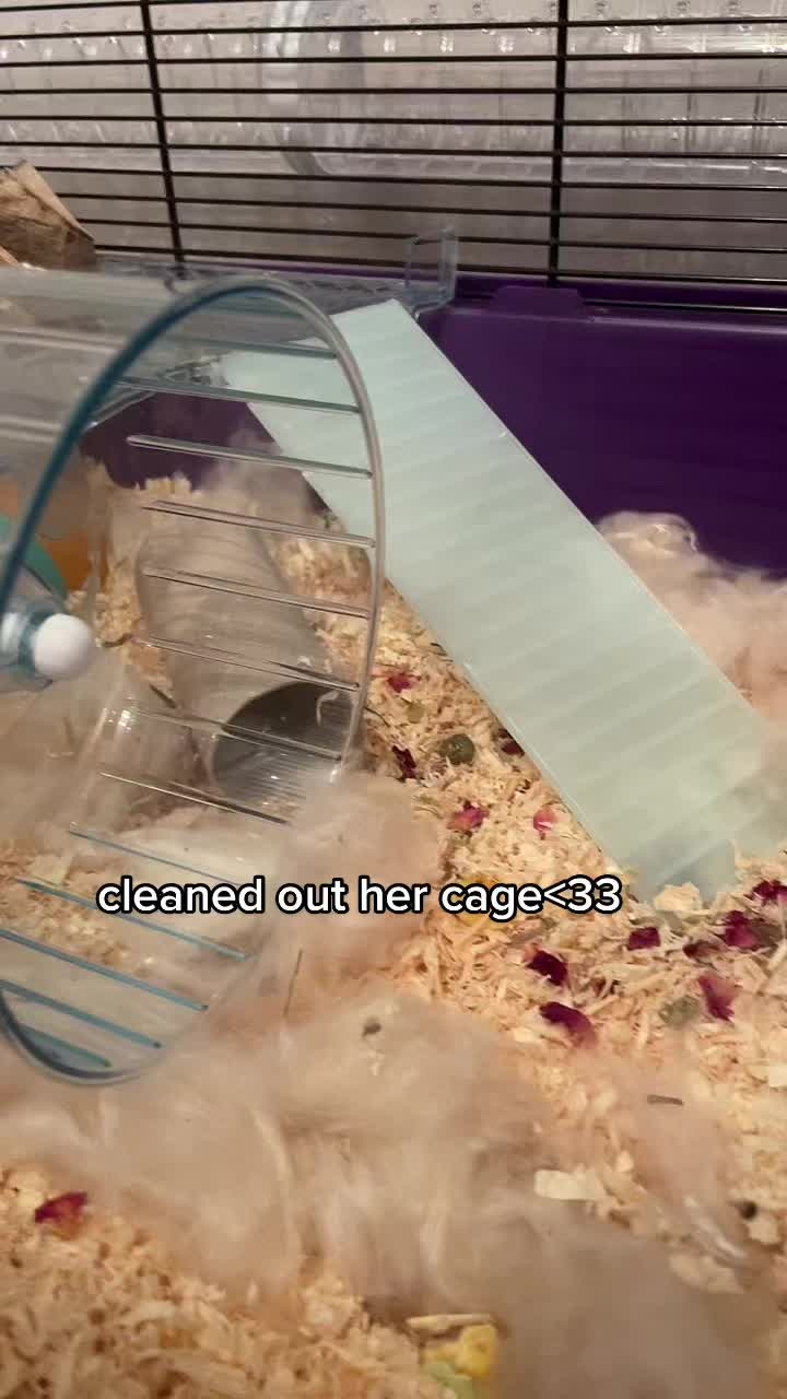 @mabel <3