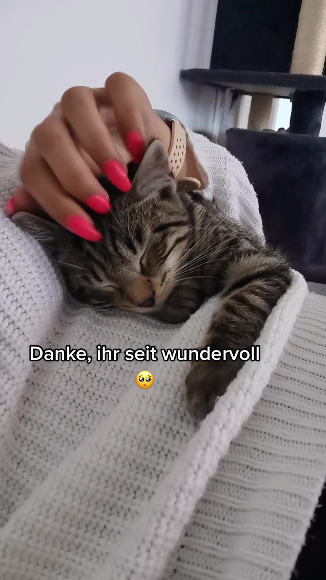 @Happykittycats_