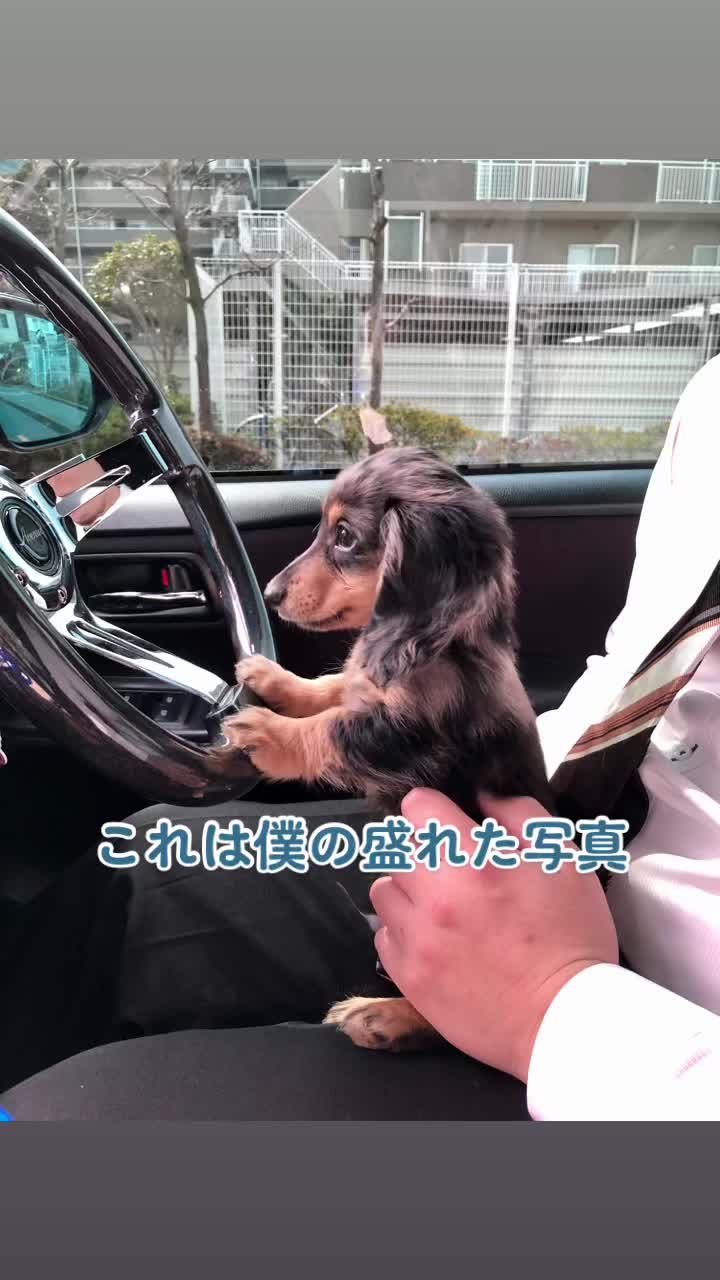 @れな