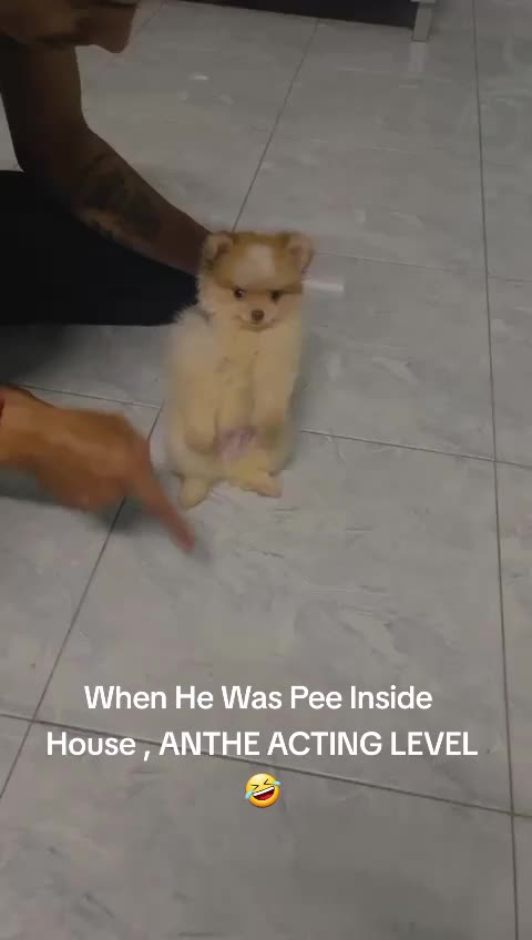 @Ria.Jo.De.Macho