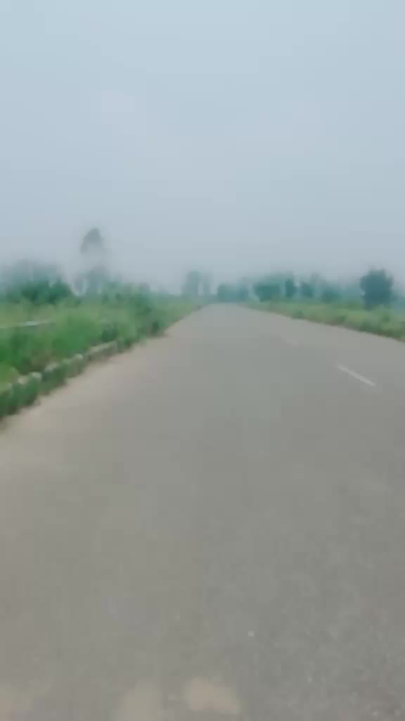 @RANJIT SINGH