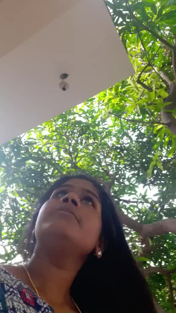 @vemulasona