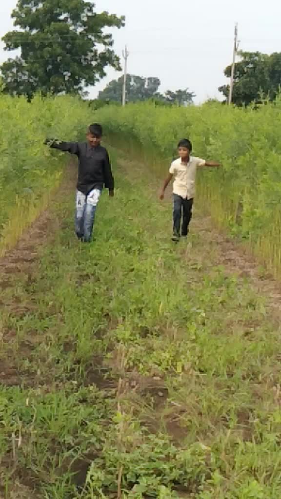 @sumit ambhore