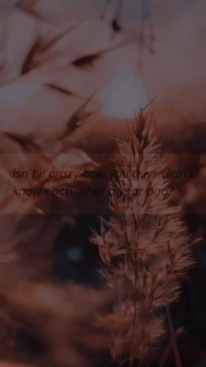 @(っ◔◡◔)っ