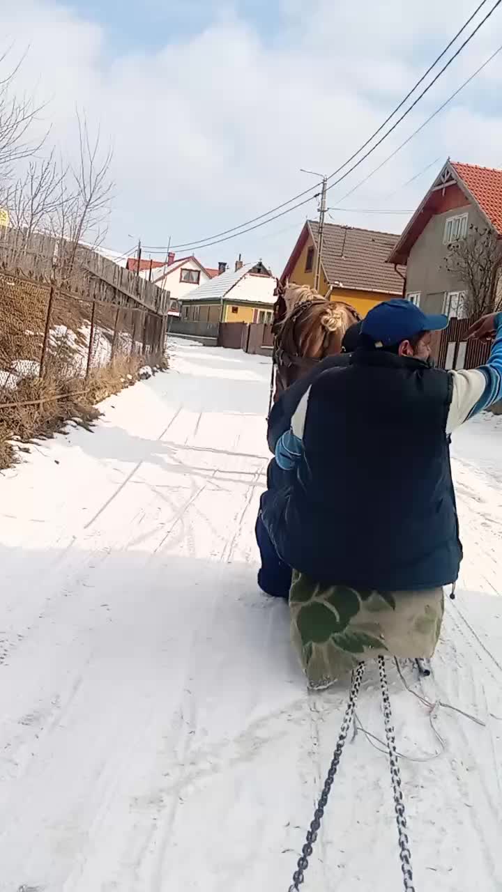 @Monika Tam&aacute;s219