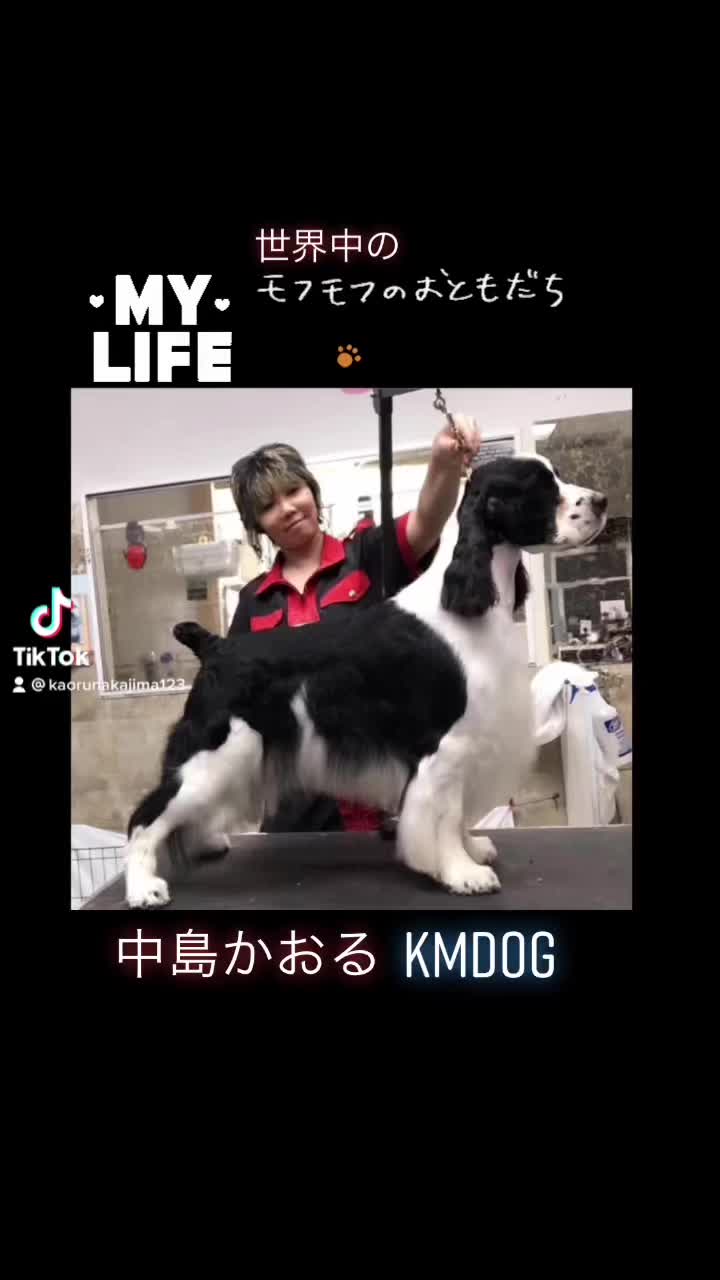 @Kaoru Nakajima123