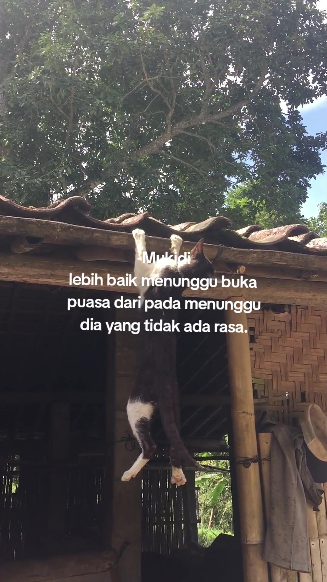 @𝙎𝙀𝙂𝙊𝙉𝘿𝙊𝙂