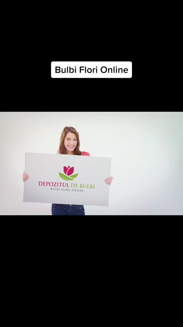 @Depozitul De Bulbi