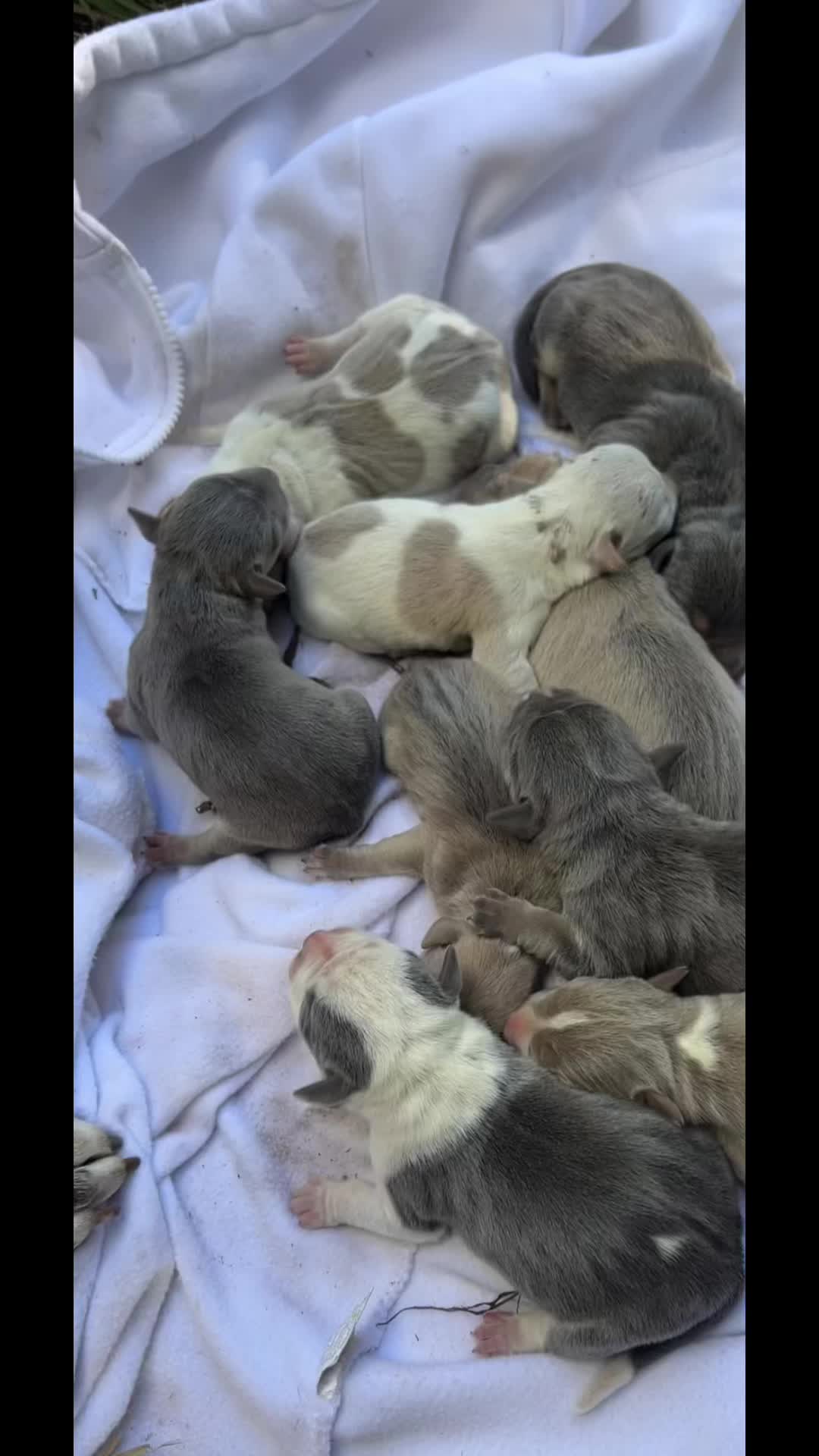 @kayp207